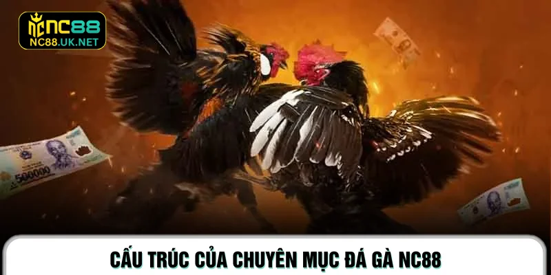 Cấu trúc của chuyên mục đá gà NC88