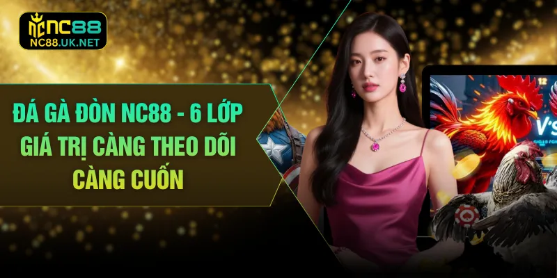Đá Gà Đòn NC88 - 6 Lớp Giá Trị Càng Theo Dõi Càng Cuốn