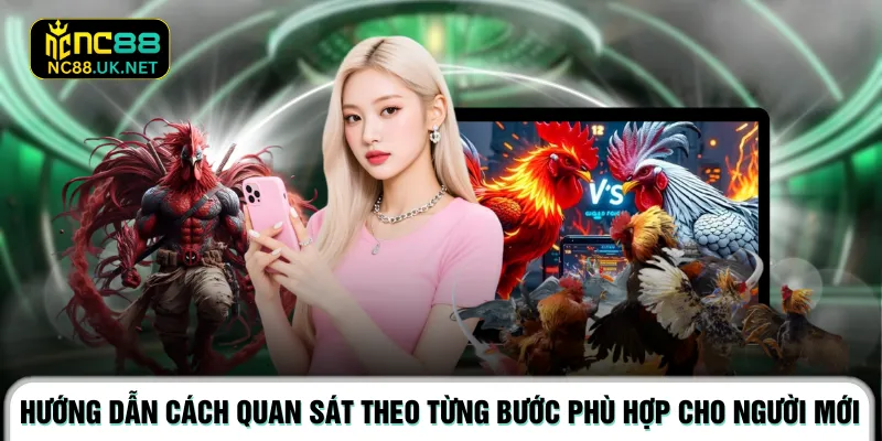 Hướng dẫn cách quan sát theo từng bước phù hợp cho người mới