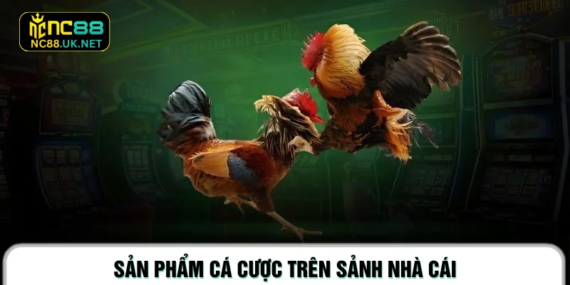 Sản phẩm cá cược trên sảnh nhà cái
