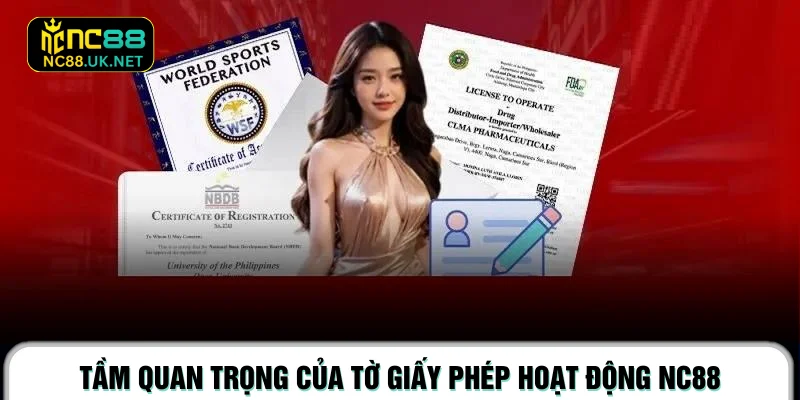 Tầm quan trọng của tờ giấy phép hoạt động NC88
