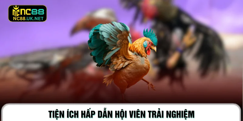 Tiện ích hấp dẫn hội viên trải nghiệm