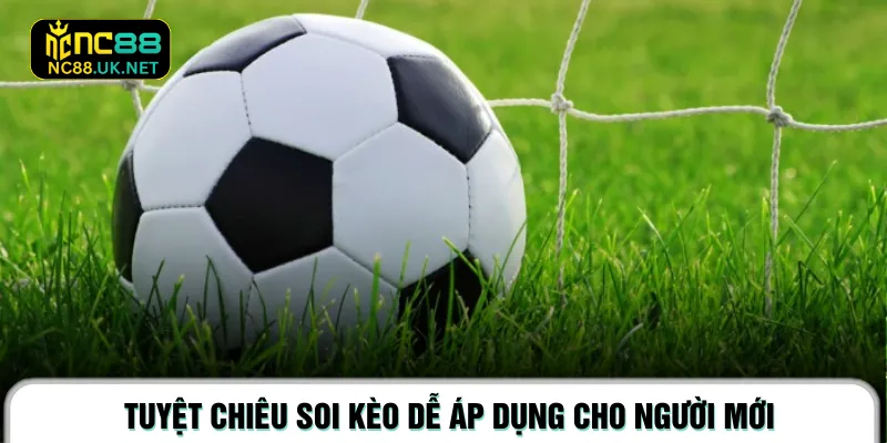 Tuyệt chiêu soi kèo dễ áp dụng cho người mới
