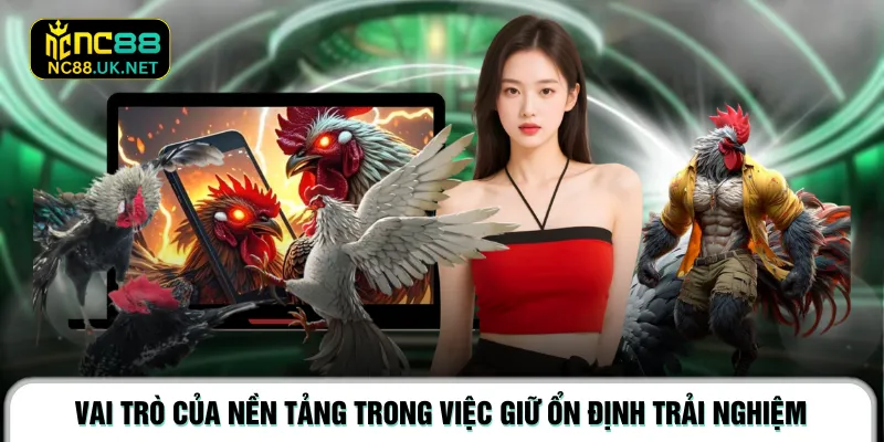 Vai trò của nền tảng trong việc giữ ổn định trải nghiệm 